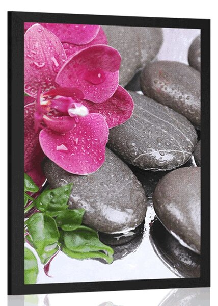 Plakat orhideja u cvatu i wellness kamenje