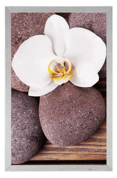 Plakat wellness kamenje i orhideja na drvenoj pozadini