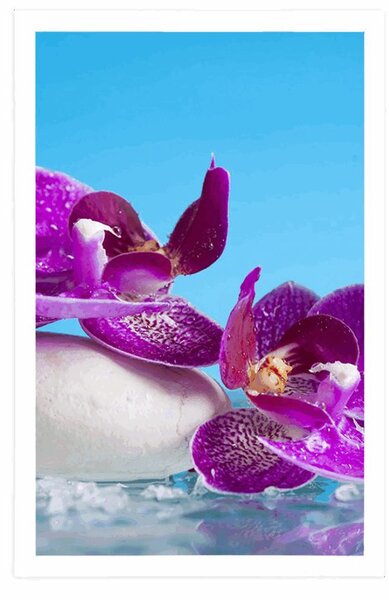 Plakat mrtva priroda - wellness
