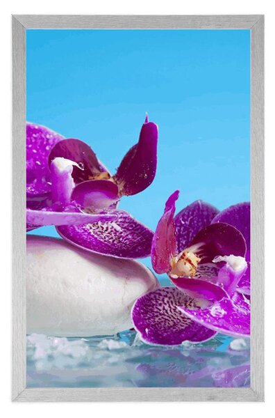 Plakat mrtva priroda - wellness