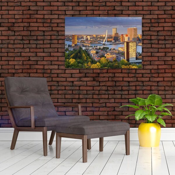 Slika - Obzorje Rotterdama, Nizozemska (90x60 cm)