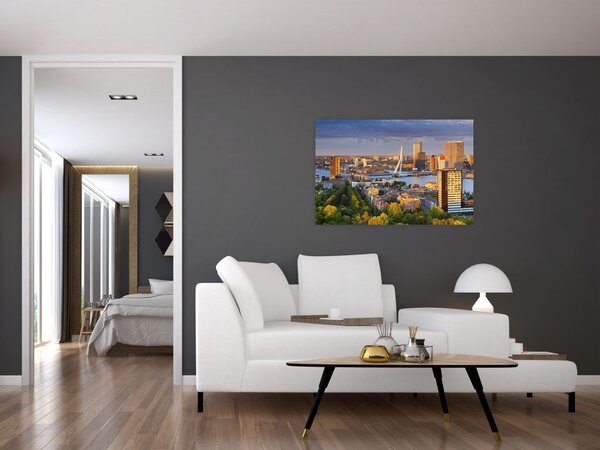 Slika - Obzorje Rotterdama, Nizozemska (90x60 cm)