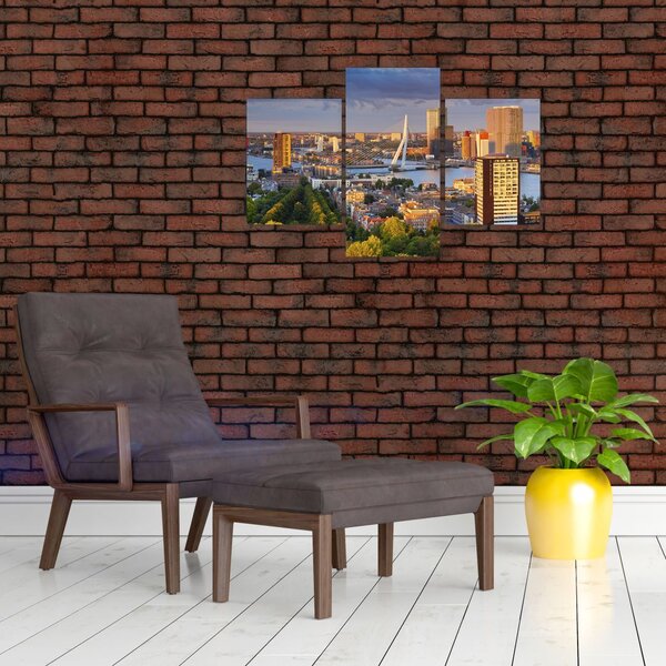 Slika - Obzorje Rotterdama, Nizozemska (90x60 cm)