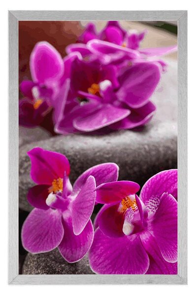 Plakat prekrasna orhideja i Zen kamenje