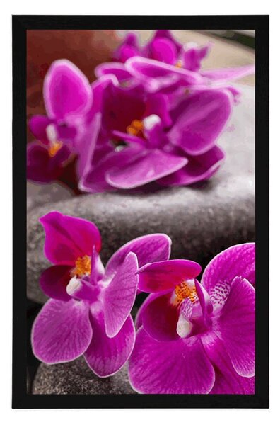 Plakat prekrasna orhideja i Zen kamenje