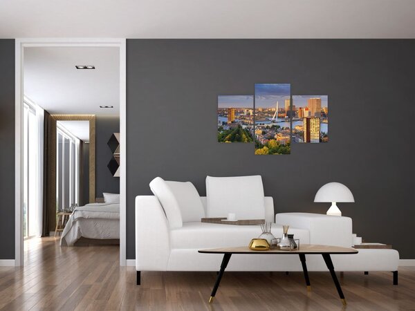 Slika - Obzorje Rotterdama, Nizozemska (90x60 cm)