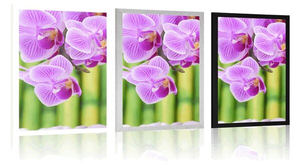 Plakat Zen vrt