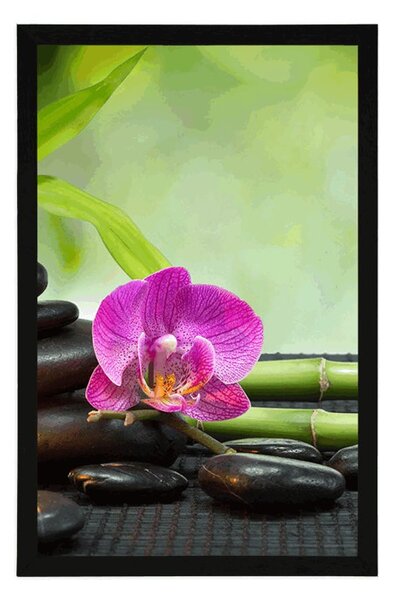 Plakat Feng Shui mrtva priroda