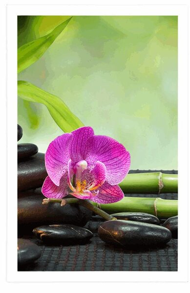 Plakat Feng Shui mrtva priroda
