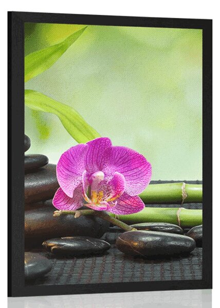 Plakat Feng Shui mrtva priroda