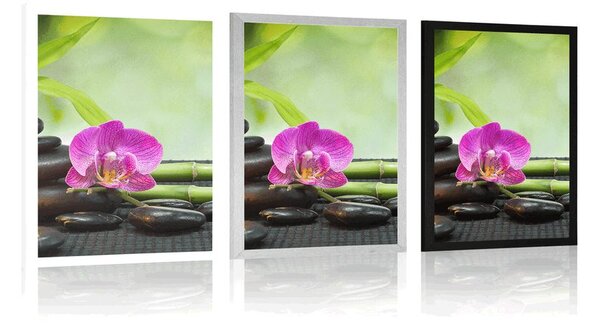 Plakat Feng Shui mrtva priroda