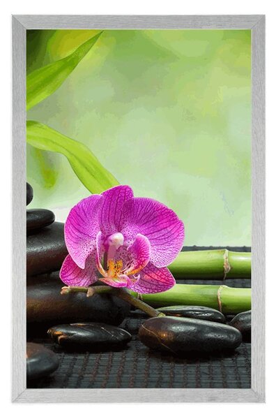 Plakat Feng Shui mrtva priroda