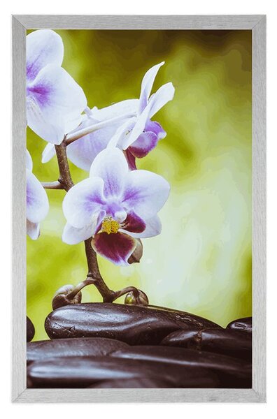 Plakat zen kamenje i orhideja