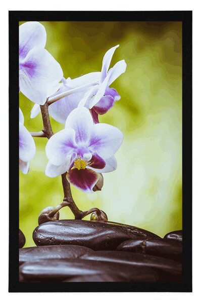 Plakat zen kamenje i orhideja
