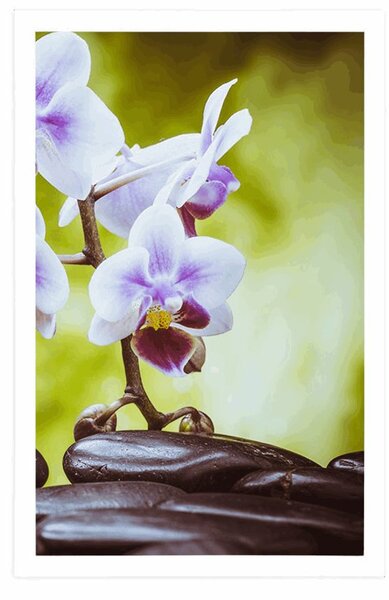 Plakat zen kamenje i orhideja