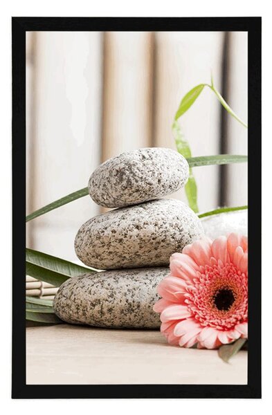 Plakat meditacijska i wellness mrtva priroda
