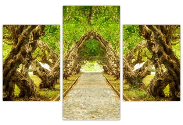 Slika - Živi tunel plumerije (90x60 cm)