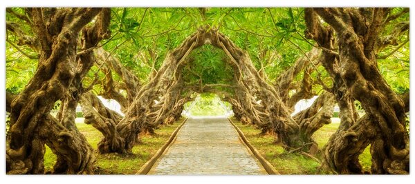 Slika - Živi tunel plumerije (120x50 cm)