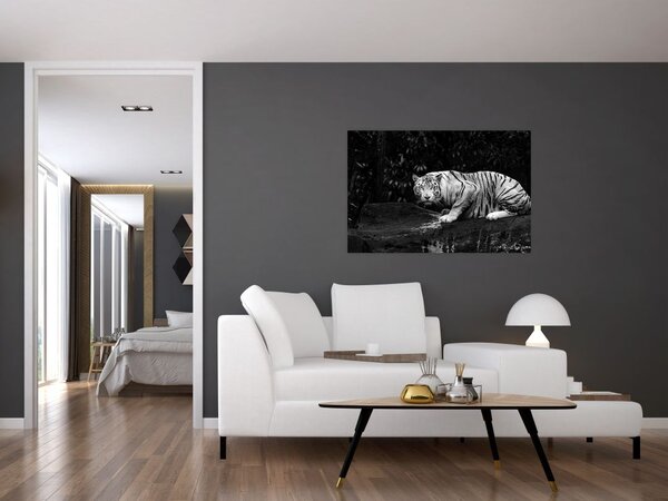 Slika - Albino tiger, črno-bela (90x60 cm)