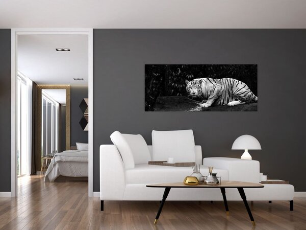 Slika - Albino tiger, črno-bela (120x50 cm)