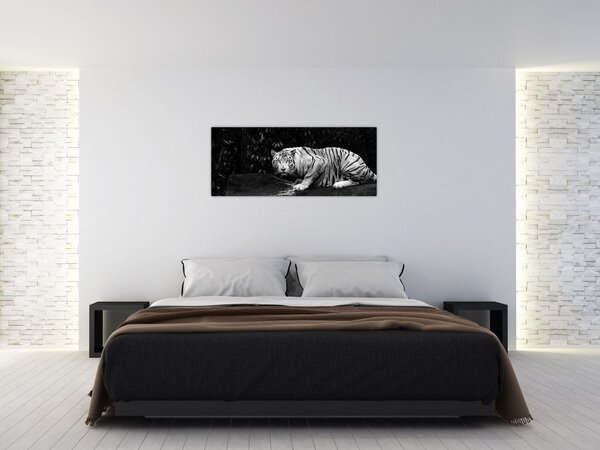 Slika - Albino tiger, črno-bela (120x50 cm)