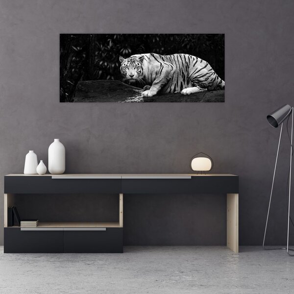 Slika - Albino tiger, črno-bela (120x50 cm)