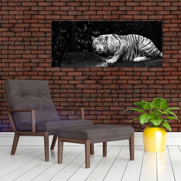 Slika - Albino tiger, črno-bela (120x50 cm)