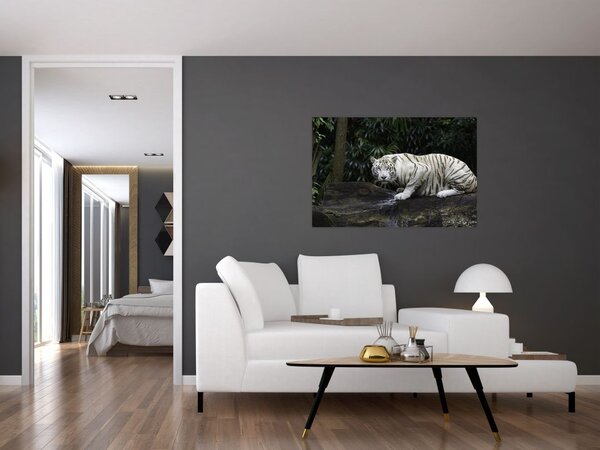 Slika - Albino tiger (90x60 cm)