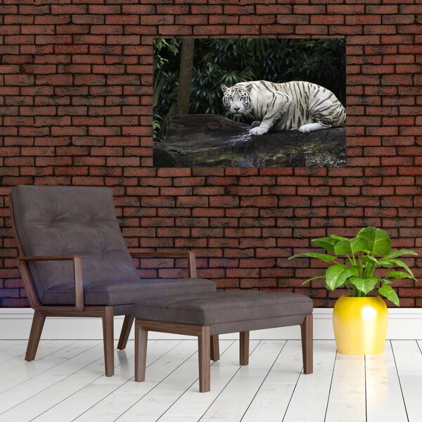 Slika - Albino tiger (90x60 cm)