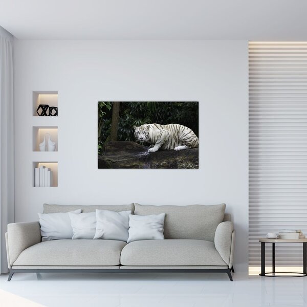 Slika - Albino tiger (90x60 cm)