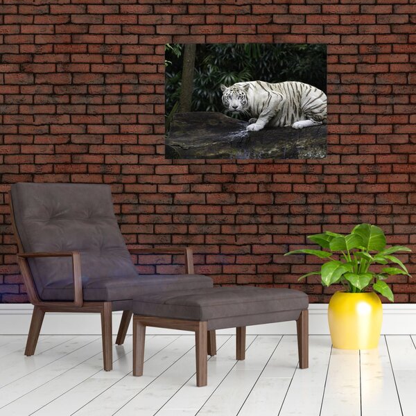 Slika - Albino tiger (70x50 cm)