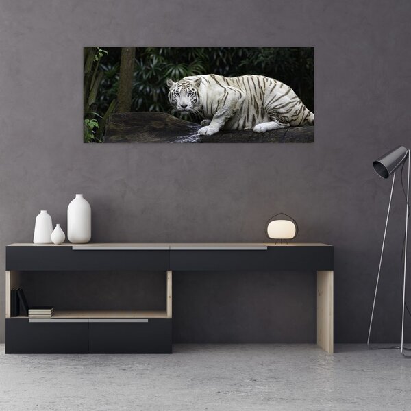 Slika - Albino tiger (120x50 cm)
