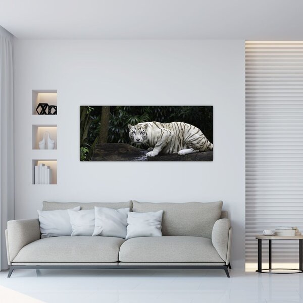 Slika - Albino tiger (120x50 cm)