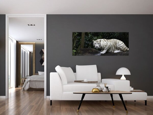 Slika - Albino tiger (120x50 cm)