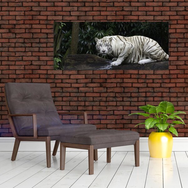 Slika - Albino tiger (120x50 cm)