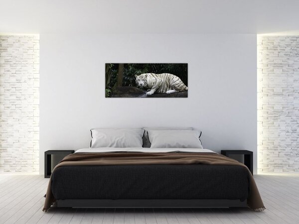 Slika - Albino tiger (120x50 cm)