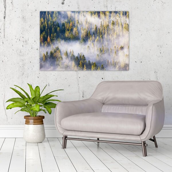 Slika dreves v megli (90x60 cm)