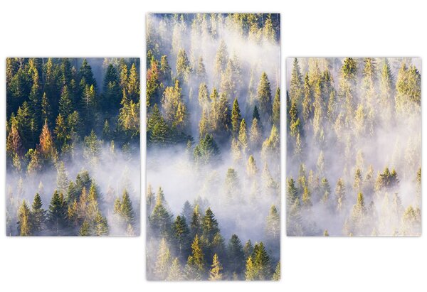 Slika dreves v megli (90x60 cm)