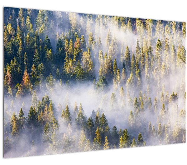 Slika dreves v megli (90x60 cm)