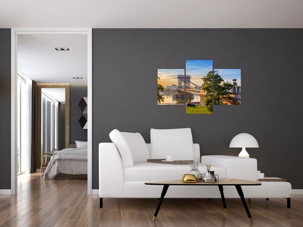 Slika - Most čez reko, Budimpešta, Madžarska (90x60 cm)