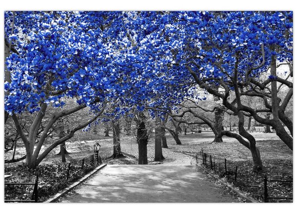 Slika - Modra drevesa, Central Park, New York (90x60 cm)