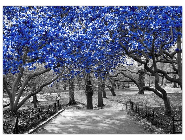 Slika - Modra drevesa, Central Park, New York (70x50 cm)