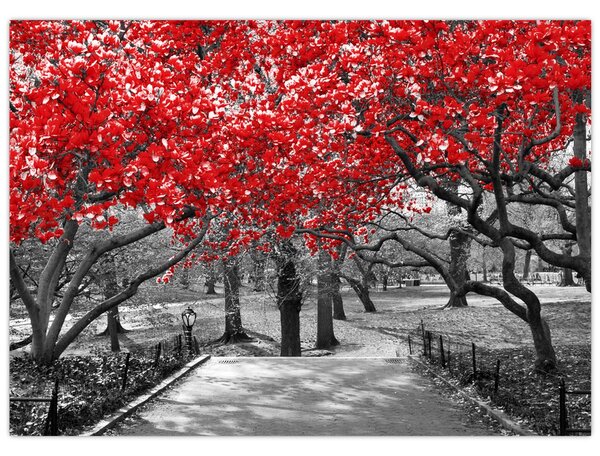 Slika - Rdeča drevesa, Central Park, New York (70x50 cm)