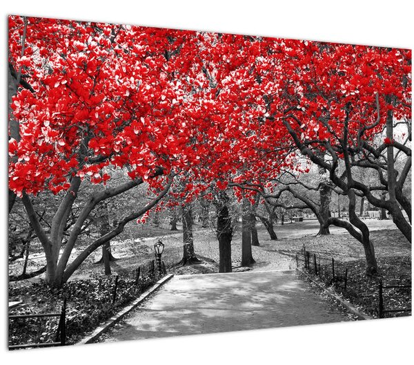 Slika - Rdeča drevesa, Central Park, New York (90x60 cm)