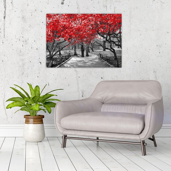 Slika - Rdeča drevesa, Central Park, New York (70x50 cm)