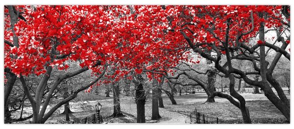 Slika - Rdeča drevesa, Central Park, New York (120x50 cm)