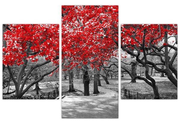 Slika - Rdeča drevesa, Central Park, New York (90x60 cm)