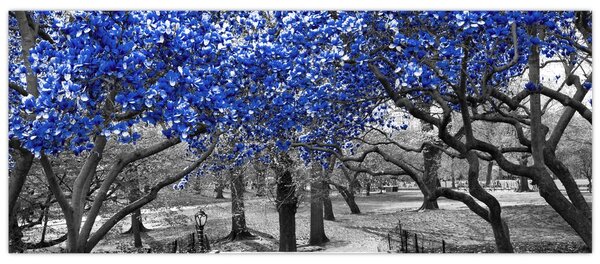 Slika - Modra drevesa, Central Park, New York (120x50 cm)