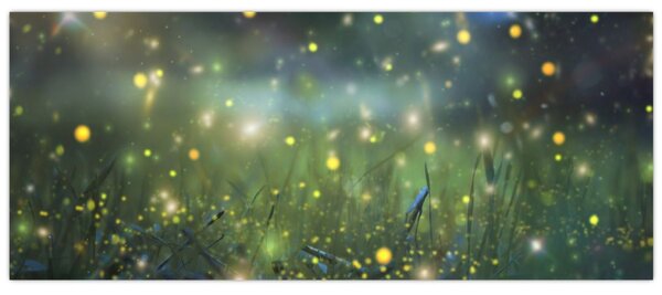 Slika - Čarobna noč (120x50 cm)