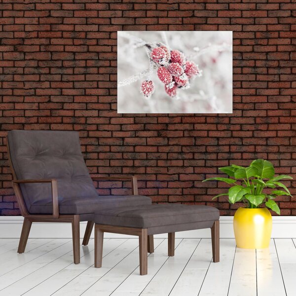 Slika - Zamrznjeno sadje (70x50 cm)